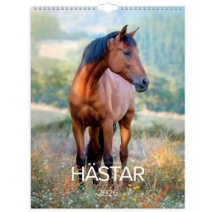 Burde Stora Hästkalendern 2026 vägg