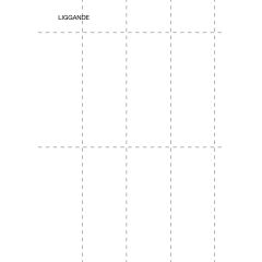 Dataform Hylletikettark A4 8 x 130 x 50 mm