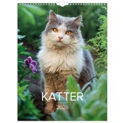 Burde Stora Kattkalendern 2026 vägg