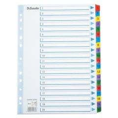 Esselte Register Mylar A4 1-20