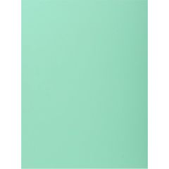 Exacompta Mapp A4 kartong 1 klaff grön