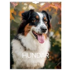 Burde Stora Hundkalendern 2026 vägg