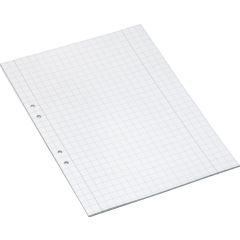 Niceday Arbetsblad A4 rutat 10x10mm 500/fp