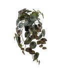 Götessons Konstväxt Peperomia 45 cm