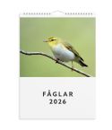 Burde Väggkalender 2026 Fåglar