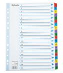 Esselte Register Mylar A4 1-20