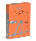 Rey Färgat kopieringspapper Adagio A4 80g 500/fp Orange