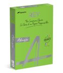 Rey Färgat kopieringspapper Adagio A4 160 g 250/fp Deep Green