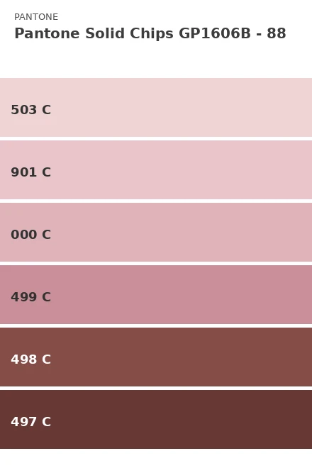 Ersättningsblad Pantone Solid Chips GP1606B - Sida 88 (503 C, 901...